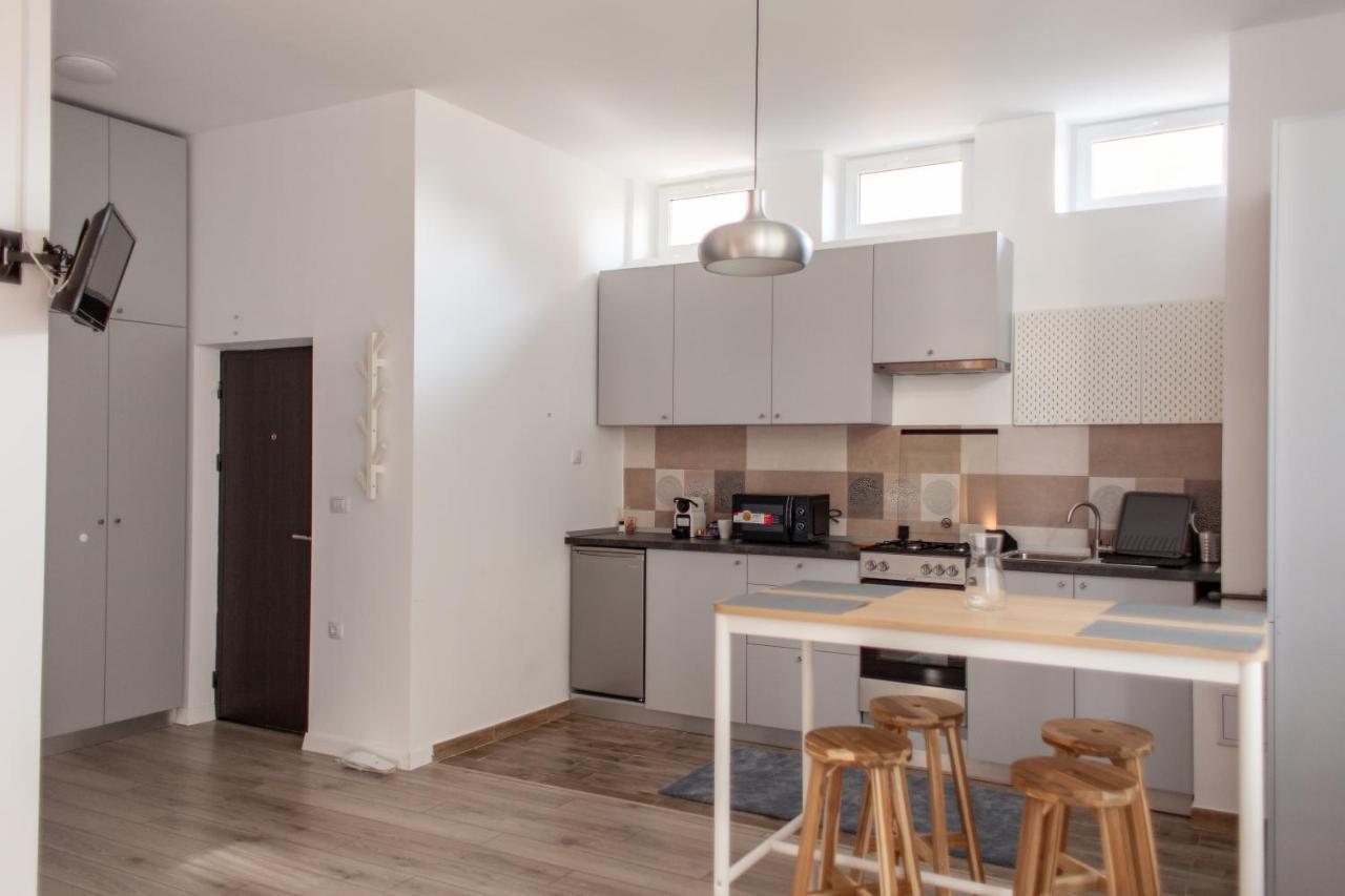 Modern Studio In The Heart Of Iasi Exteriér fotografie